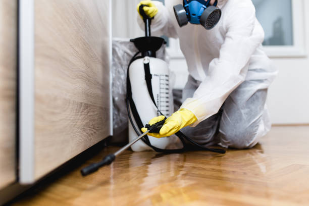 Best Flea Control Services  in Ramblewood, NJ