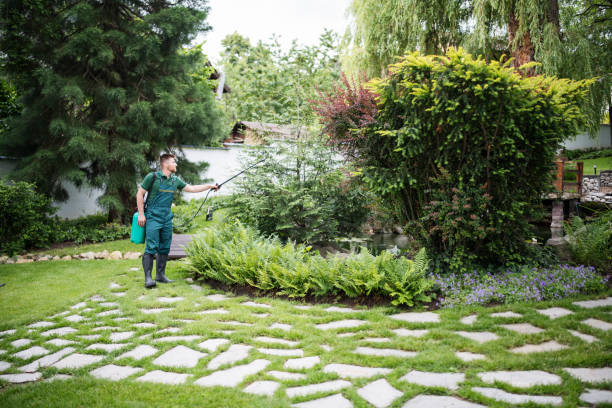 Best Emergency Pest Control  in Ramblewood, NJ