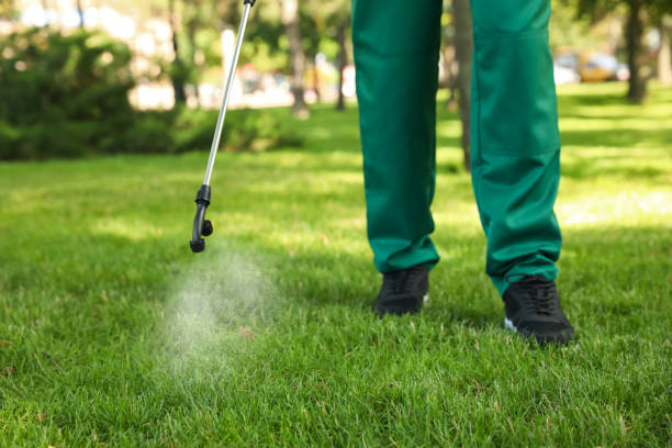 Best Residential Pest Control  in Ramblewood, NJ