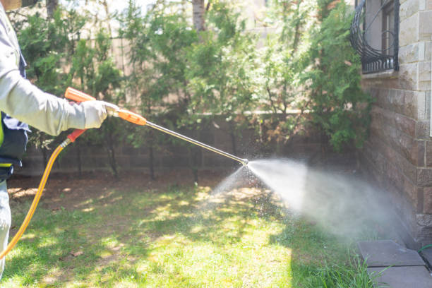 Best Bed Bug Extermination  in Ramblewood, NJ