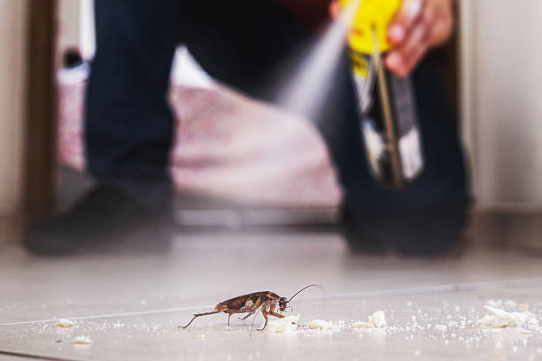 Best Pest Control for Businesses  in Ramblewood, NJ