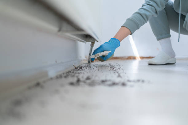 Best Mosquito Control Services  in Ramblewood, NJ